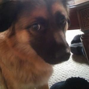 Meet your Posher, Joni